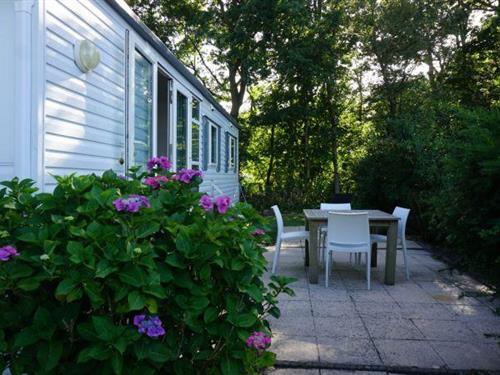 Feriehus - 4 personer -  - 2555 NW - The Hague