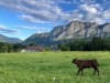 Bild 19