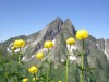 Bild 38