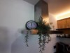 Bilde 6