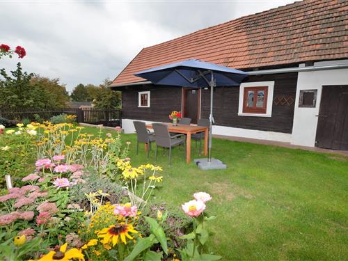 Sommerhus - 5 personer -  - 43985 - Petrohrad