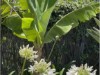 Billede 9
