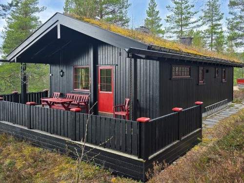 Sommerhus - 8 personer -  - Renåfjellsveien - Renåfjellet/Rendalen - 2485 - Rendalen