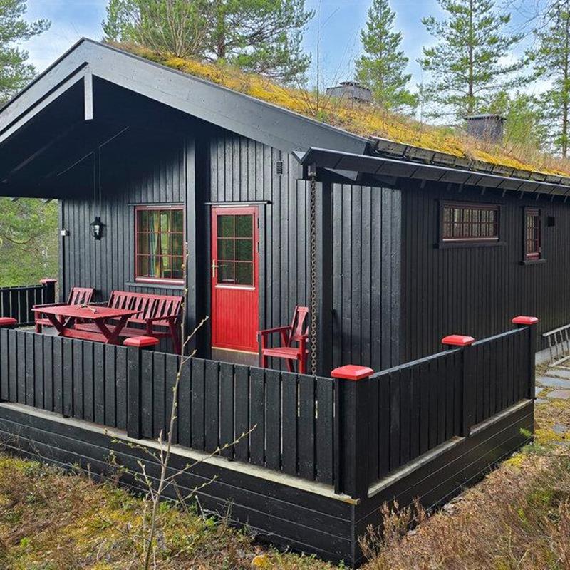Sommerhus - 8 personer -  - Renåfjellsveien - Renåfjellet/Rendalen - 2485 - Rendalen