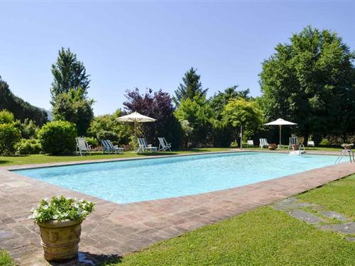 Feriehus / leilighet - 4 personer -  - 52044 - Cortona