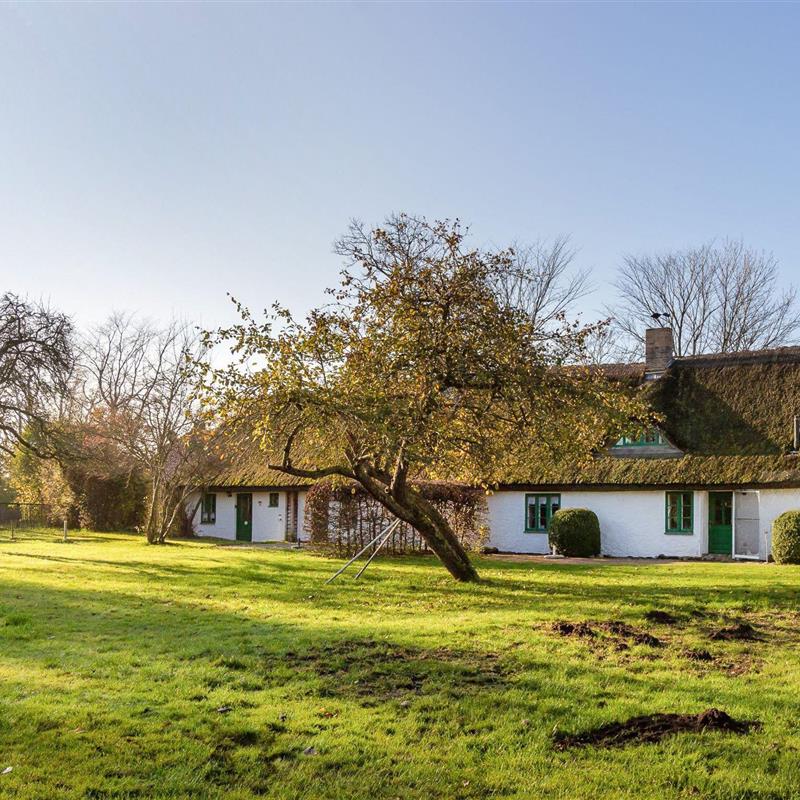 Feriecenter - 3 personer -  - Vieregge - 18569 - Neuenkirchen