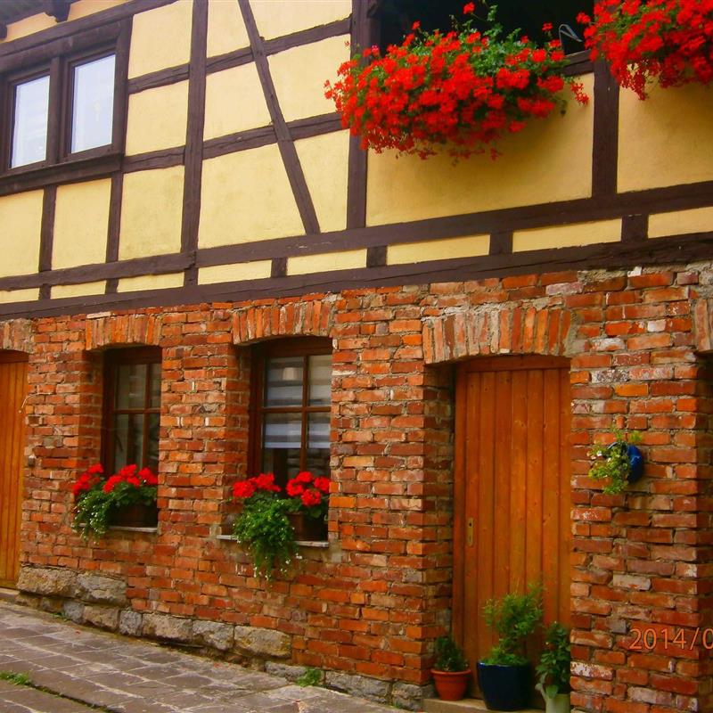 Ferielejlighed - 4 personer -  - Breiter Ring - 99090 - Erfurt