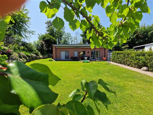 Bungalow - 4 personer -  - Parkweg - 17213 - Göhren-Lebbin