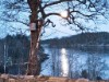 Bild 6 - Ude