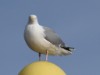 Bild 16