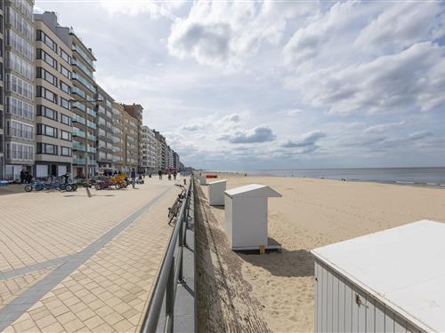 Semesterlägenhet - 3 personer -  - 8430 - Middelkerke