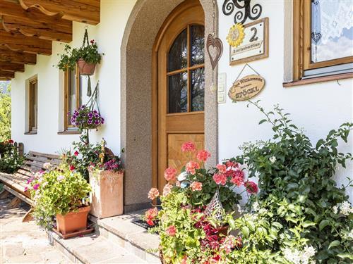 Bauernhof - 4 persons -  - Breitenbergham - 5760 - Saalfelden Am Steinernen