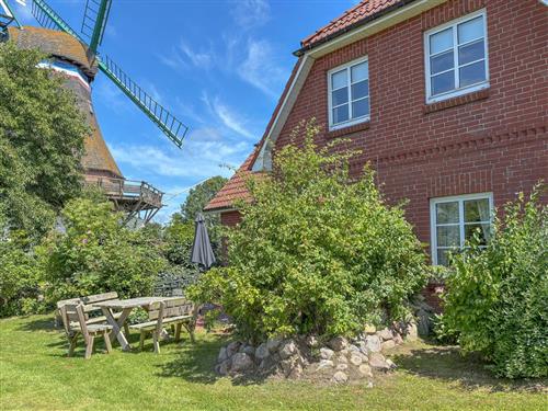 Ferielejlighed - 6 personer -  - Süderhafen - 25845 - Nordstrand
