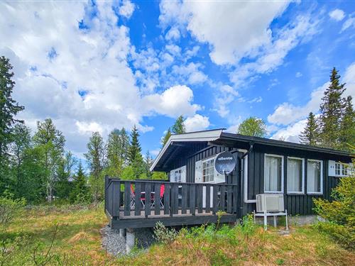 Sommerhus - 5 personer -  - Golsfjellveien - Golsfjellet - 3550 - Gol