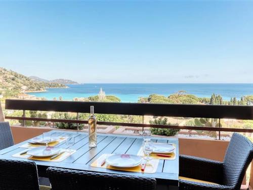 Holiday apartment - 1 person -  - Le Lavandou