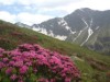 Bild 24