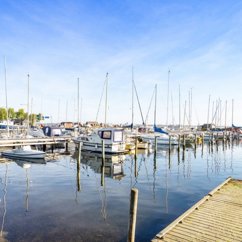 Ferienhaus - 8 Personen -  - Remisevej - Kragenæs - 4943 - Torrig L
