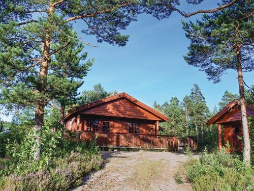 Feriehus - 5 personer -  - Sandtjønnlia - 4865 - Åmli