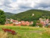 Bild 17