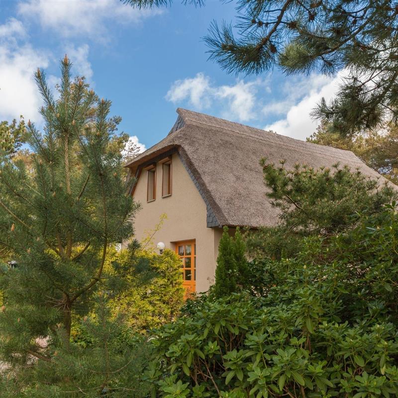 Ferielejlighed - 3 personer -  - An der Nebelstation - 18347 - Wustrow