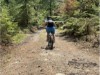 Billede 30