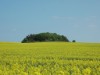 Bild 31 - Ude