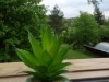 Bilde 4