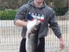 Bild 20