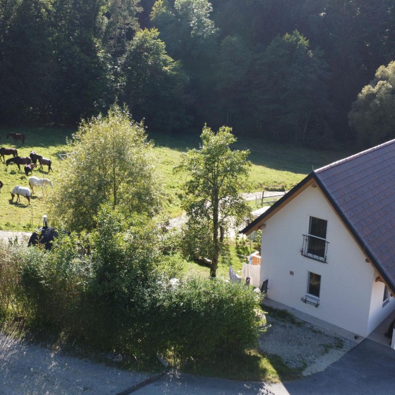 Sommerhus - 6 personer -  - Hartl - 8224 - Kaindorf Bei Hartberg