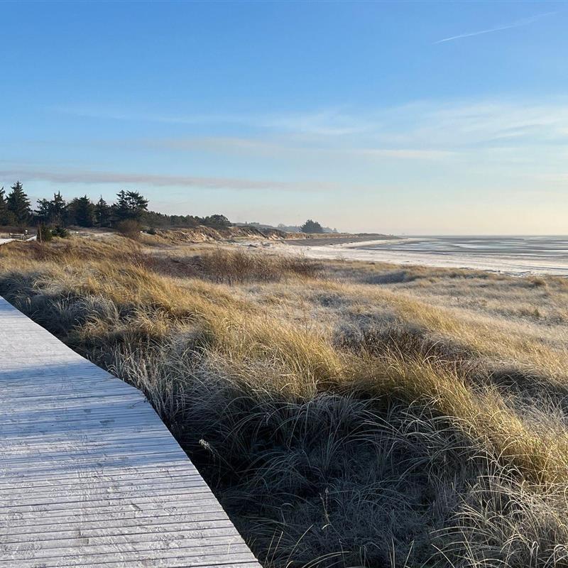 Sommerhus - 3 personer -  - Westerheideweg 13 a - 25938 - Nieblum