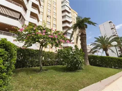 Sommerhus - 6 personer -  - 46730 - Playa De Gandia, Valencia