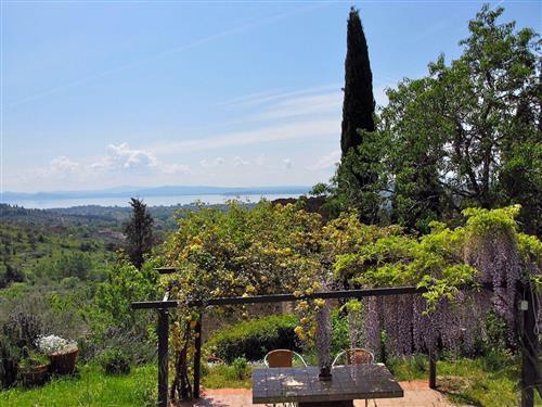 Ferienhaus - 6 Personen -  - Localita La Nuvola - 06069 - Tuoro Sul Trasimeno