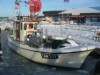 Billede 43