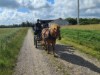 Billede 27