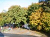 Bild 17