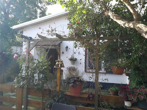 Ferieleilighet - 3 personer -  - Dorfstr. - 17406 - Rankwitz