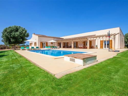 Holiday home - 8 persons -  - Diseminado es Palmer - Ses Portes, Campos - 07630 - Campos