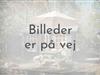 Billede 1