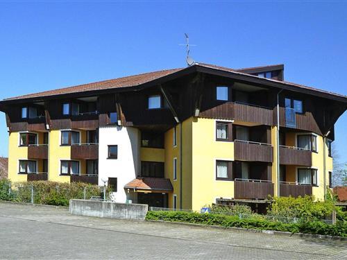 Ferieleilighet - 4 personer -  - 88090 - Immenstaad