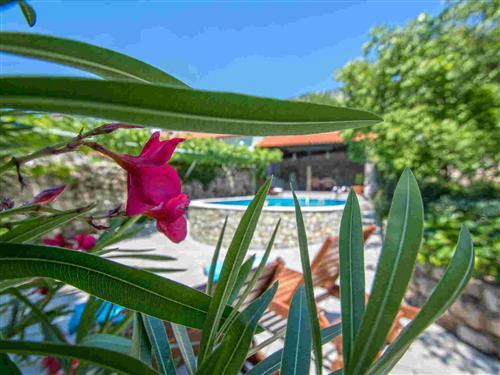 Feriehus - 6 personer -  - Crikvenica/Barci - 51244