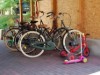 Bild 14