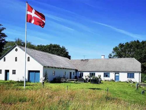 Sommerhus - 12 personer -  - Klitvejen - 7741 - Frøstrup