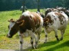 Bild 16