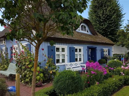 Sommerhus - 6 personer -  - Kurze Straße - 18375 - Born A. Darß