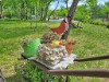 Image 27 - Outside