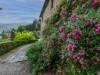 Image 25 - Outside