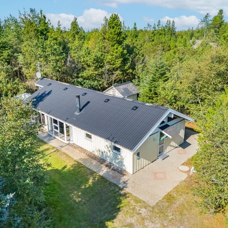 Ferienhaus - 6 Personen -  - Peder Larsensvej - Houstrup - 6830 - Nr. Nebel