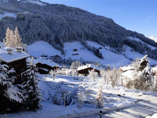 Semesterhus/Semesterlägenhet - 4 personer -  - 74450 - Le Grand-Bornand