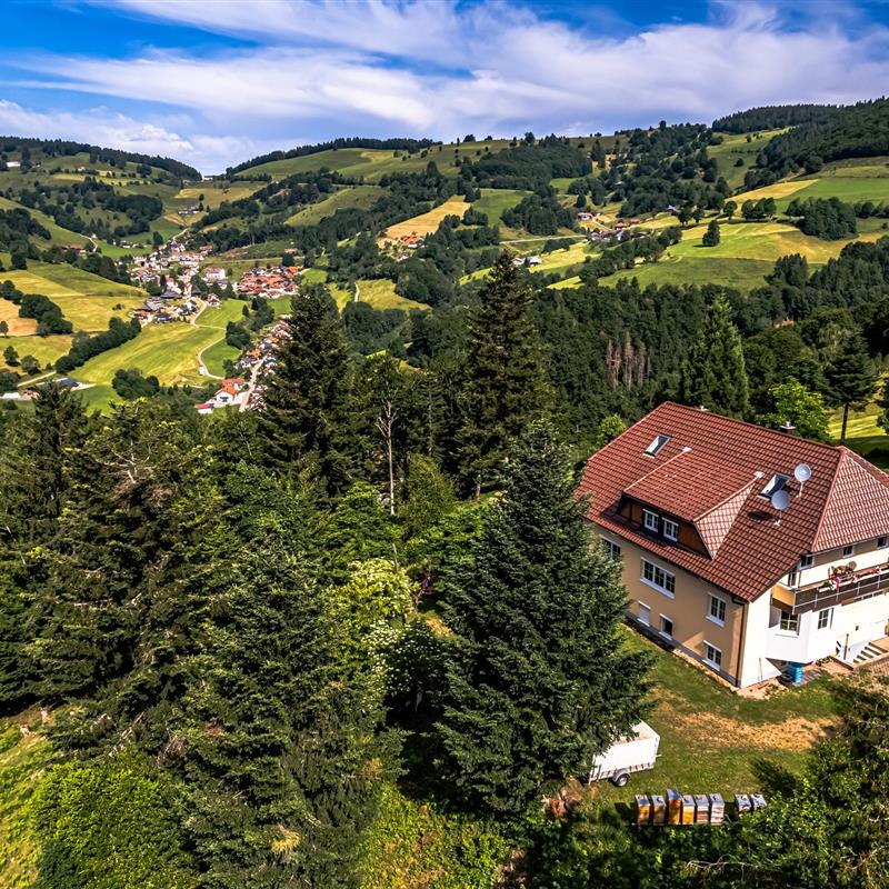 Ferielejlighed - 4 personer -  - Graben - 79695 - Wieden