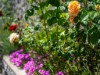 Bilde 41 - Inne
